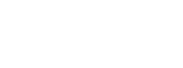DIGITAL SOCIETY